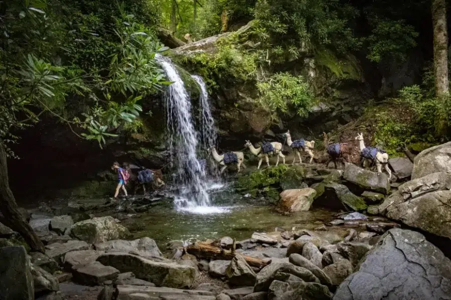 A hiking trail with waterfall at Gatlinburg, TN