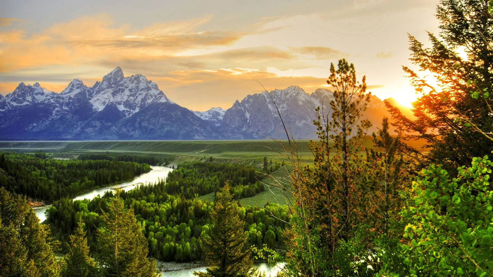 An image captured at Yellowstone National Park.