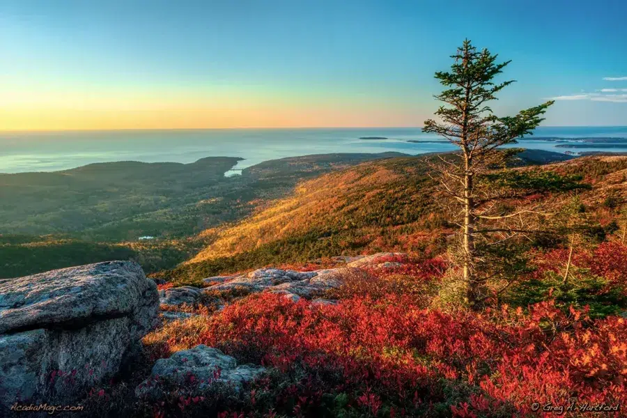 A picture taken at Acadia National Park Fall. Photo Credits - Acadiamagic.com