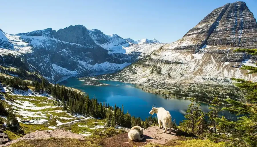 A view of lake from the top of hill, Glacier National Park.