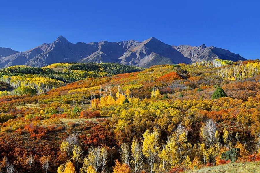 
Fall Foilage at Rocky Mountain National Park.