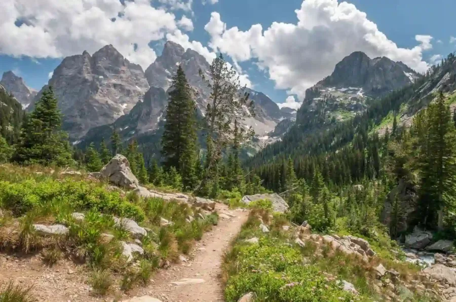 A view of a Hiking trail at Grand Teton National Park.